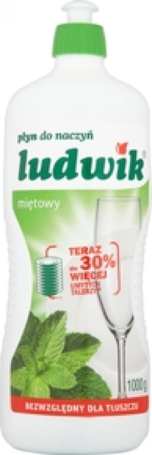 LUDWIK MIĘTOWY PŁYN DONACZYŃ 900ML