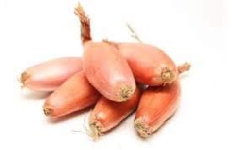 Cebula SZALOTKA 500g