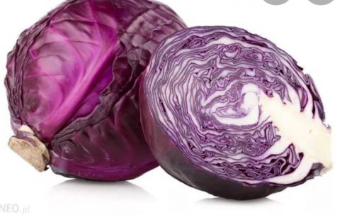 kapusta czerwona 1szt (średnia główka)