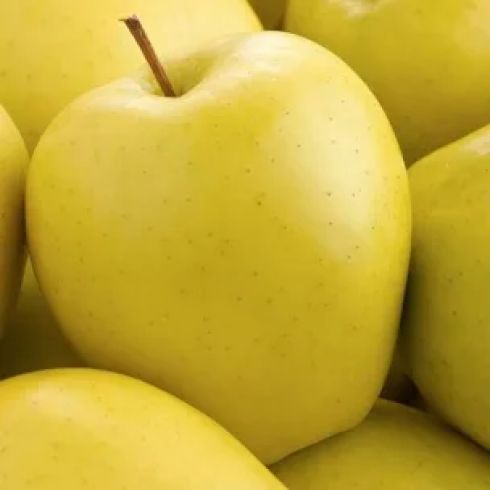 jabłka golden delicjusz  (1kg)