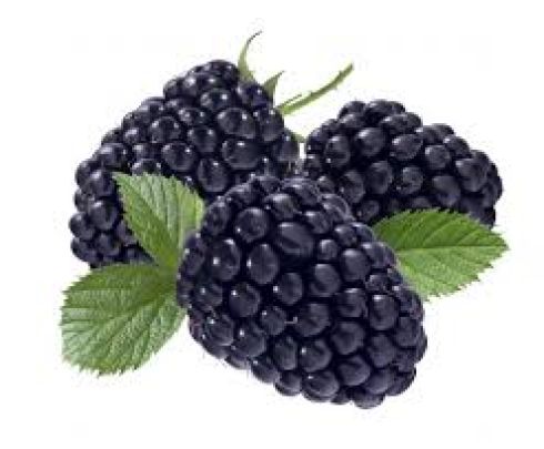 jeżyny opak (125g)