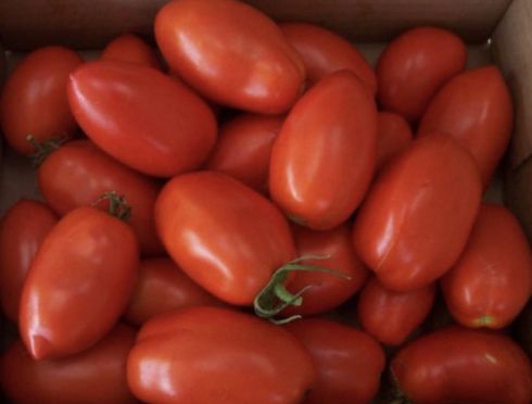 pomidory lima   (500g)