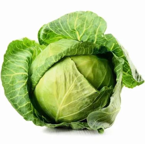 kapusta biała 1szt