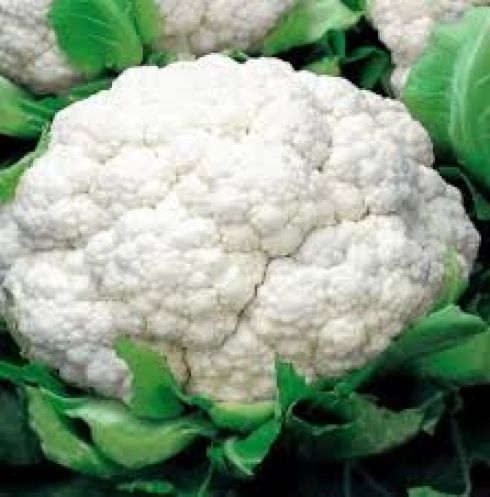 kalafior krajowy 1szt