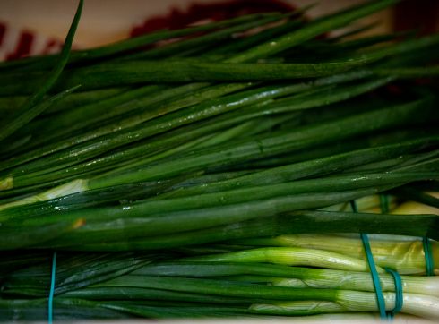 Szczypiorek polski  (pęczek)