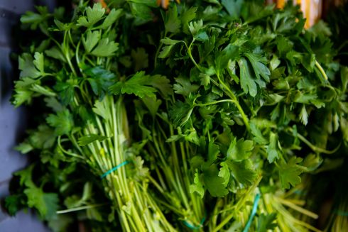 natka pietruszki pęczek