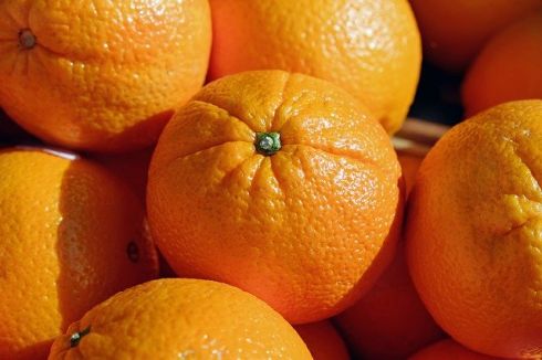 pomarańcze (1,2kg)