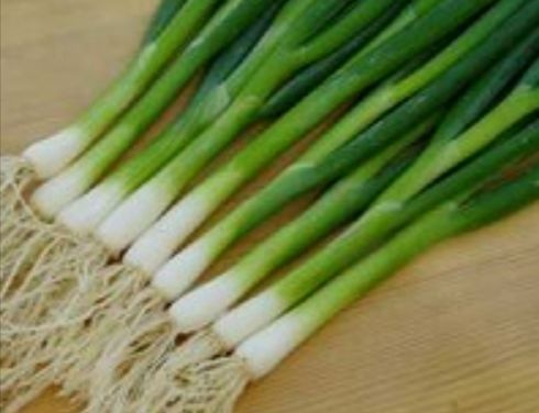 cebulka zielona pęczek