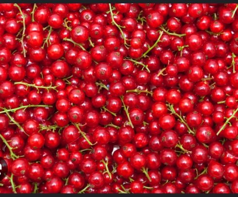 porzeczki czerwone (250g)